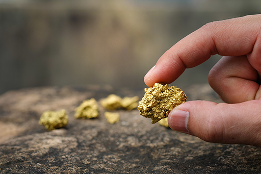 The pure gold ore found in the mine is in the hands of men.